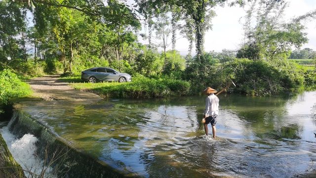 山清水秀客棧