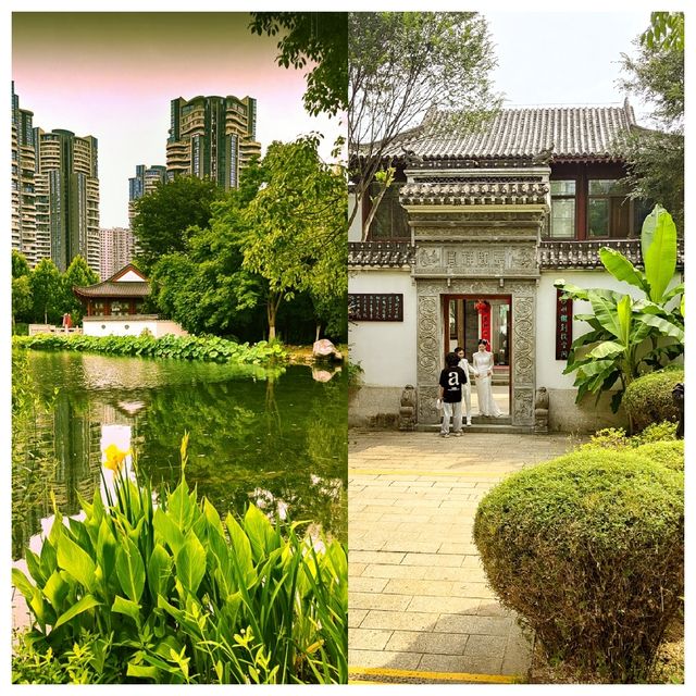 位於市中心城區（二環線內）的“世外桃源”——沙湖公園，賞荷賞景的天花板