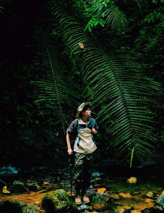 In Guangxi, I've arrived at the Jurassic era