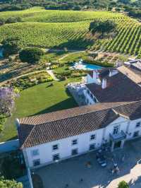 🌟 Setubal's Hidden Gem: Casa Palmela Hotel 🏰✨