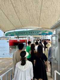 海獺島太美了不愧是海鷗的王國