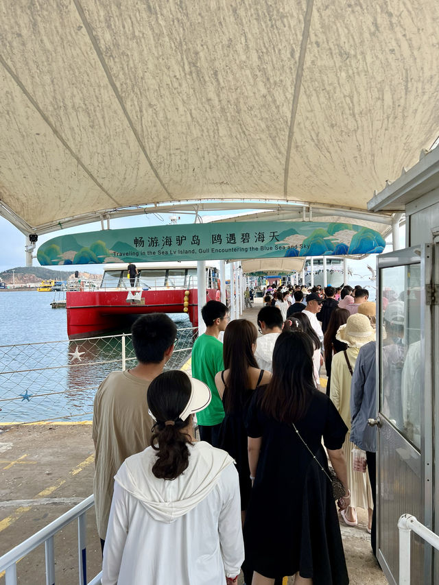 海獺島太美了不愧是海鷗的王國