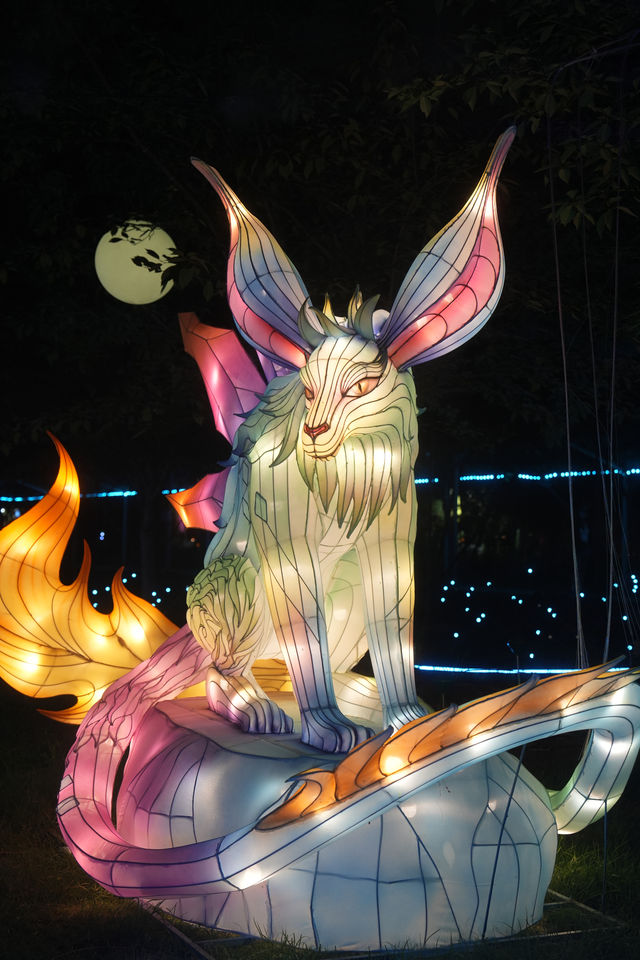 無錫花星球|一場夏日狂歡等你來