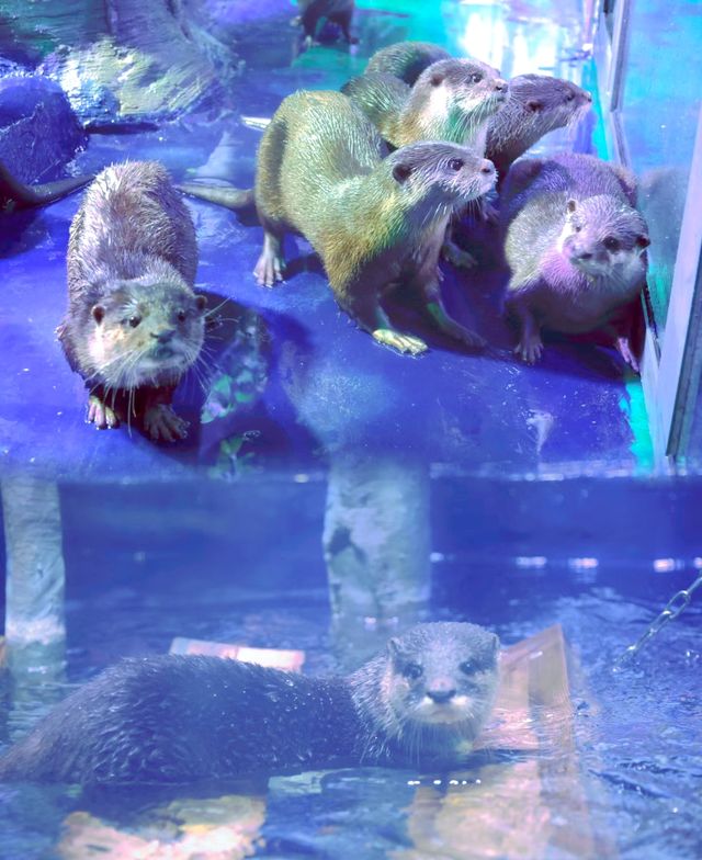兰州海洋公園海洋公園