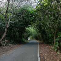 大震後三個月，再回到著名的太魯閣公園