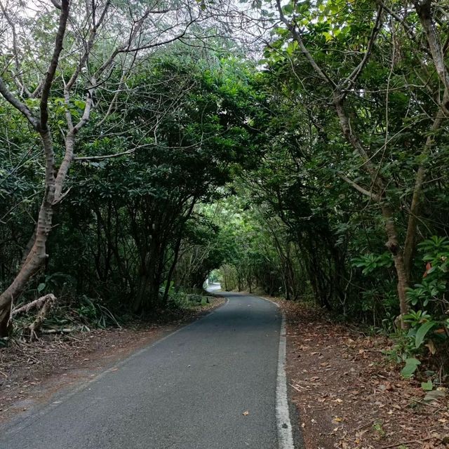 大震後三個月，再回到著名的太魯閣公園