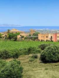 🍇✨ Sicily's Finest: Unwind at a Luxury Wine Resort 🏰🍷