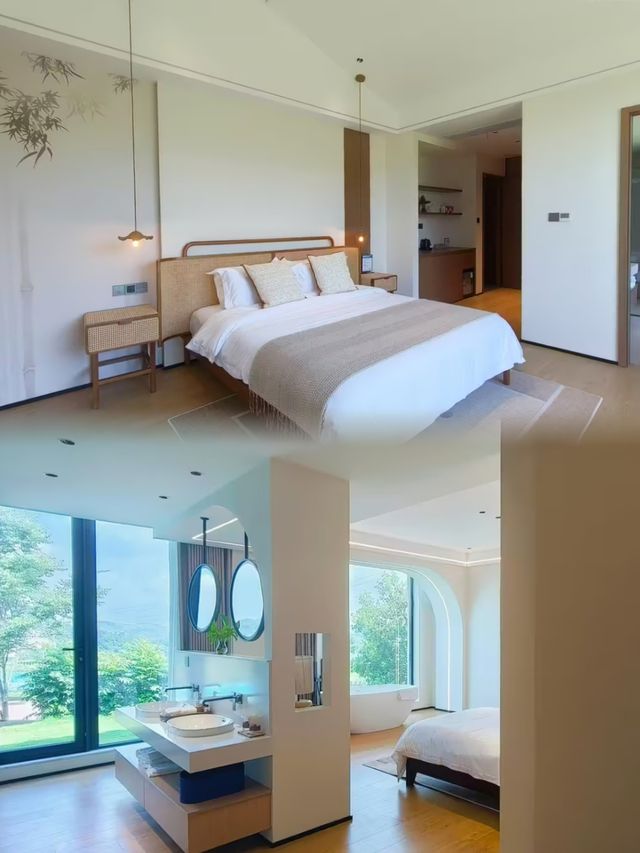 山頂上的竹林秘境