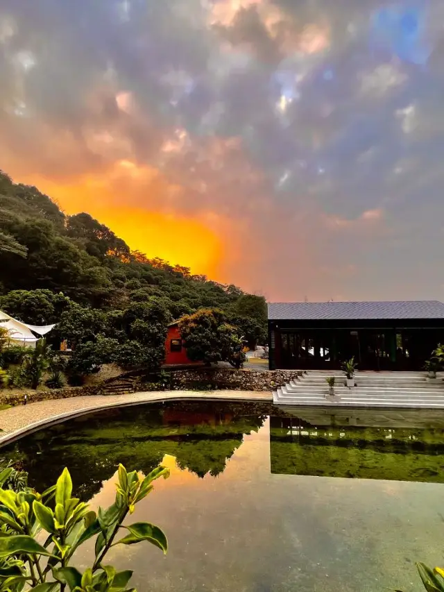 🏕️ Guangzhou's Hidden Gem: Family-Friendly Camping Adventure!