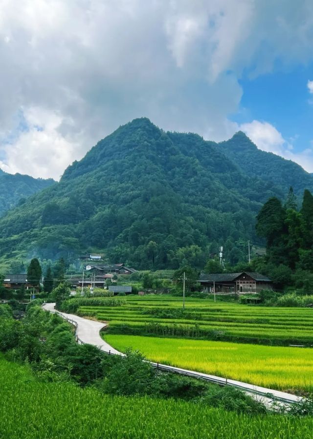 這裡真的很適合家庭避暑遛娃和想去放空自己的~