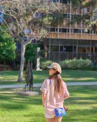 加州大學洛杉磯分校UCLA，不愧是夢中情校