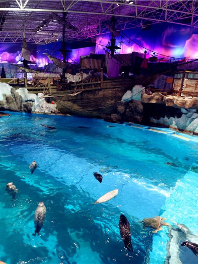 🌟 Qingdao's Top Family-Friendly Attractions Unveiled 🎡🐬🌳