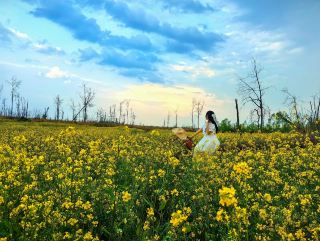 Complete Travel Guide to Doumijiu in Xiangyin County