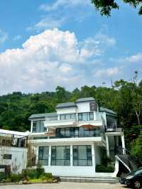 珠海！感覺住進了森林……（不想退房）