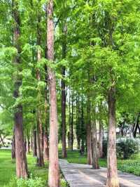地鐵直達丨INFJ推薦丨廣州6號線上的小眾公園