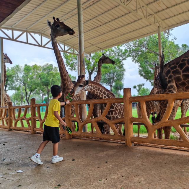 香港廣西四天三晚之平南雄森動物大世界
