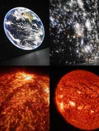 上海遛娃|8k超高清的奇幻之旅