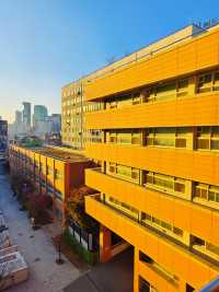 在弘益大學丨感受學府的藝術氣息