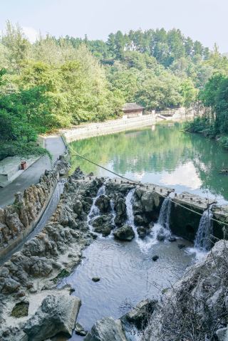 重慶周邊1h避暑|去西湖旁的動物莊園遛娃