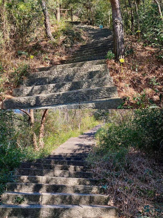 聊城！驗越王山飛拉達