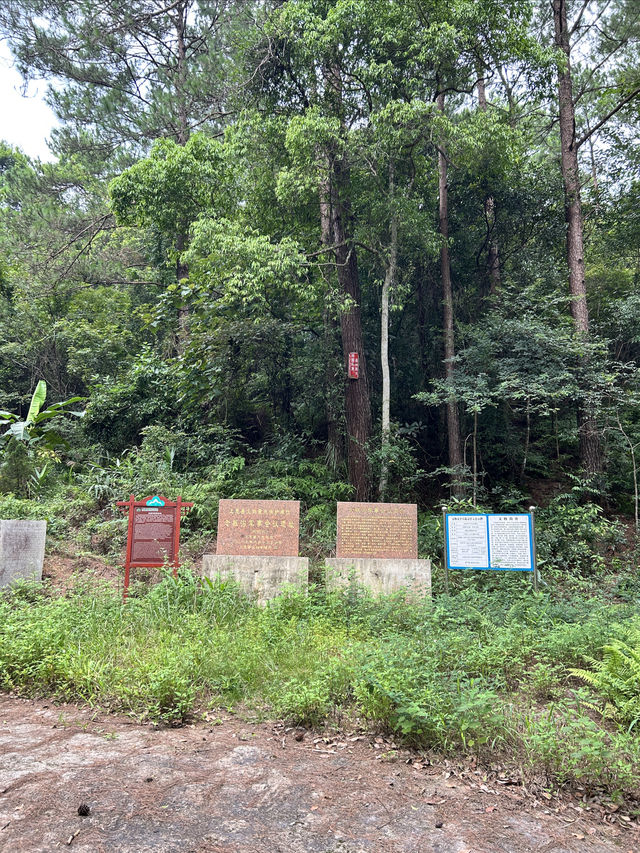 十萬大山森林公園