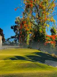 🌈【Kunming One-Day Tour Top Secret Guide】Relax and enjoy your time by the Yangzonghai Lake✨