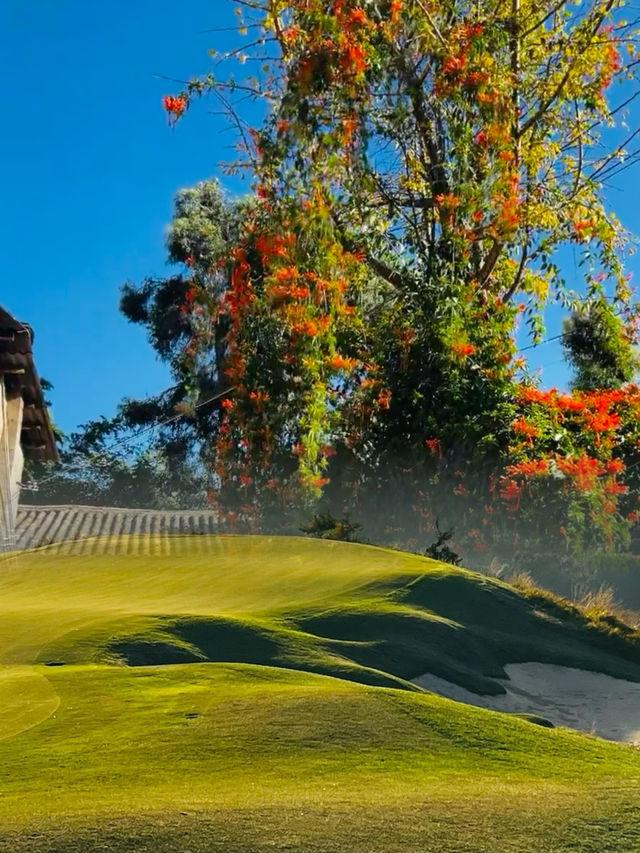 🌈【Kunming One-Day Tour Top Secret Guide】Relax and enjoy your time by the Yangzonghai Lake✨