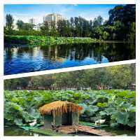 【雲南省/翠湖公園】自然を感じよう！
