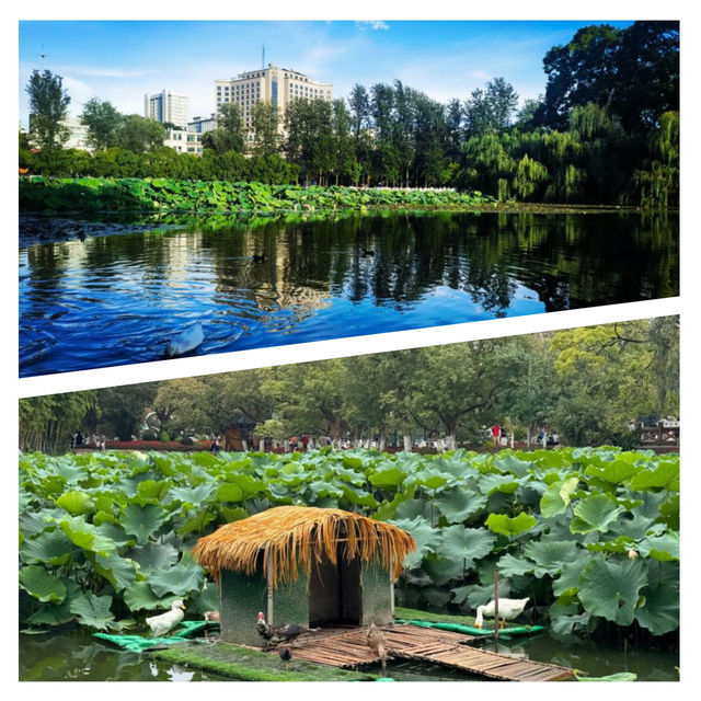 【雲南省/翠湖公園】自然を感じよう！