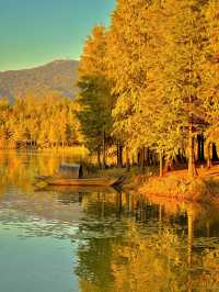 如果錯過了明孝陵的秋天,那該有多遺憾呀。