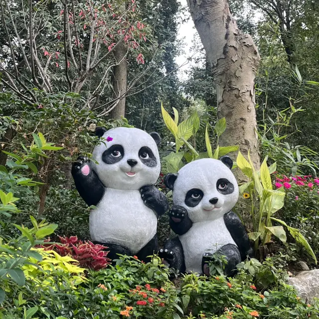 熊貓的故鄉中國動物園 in 杭州 