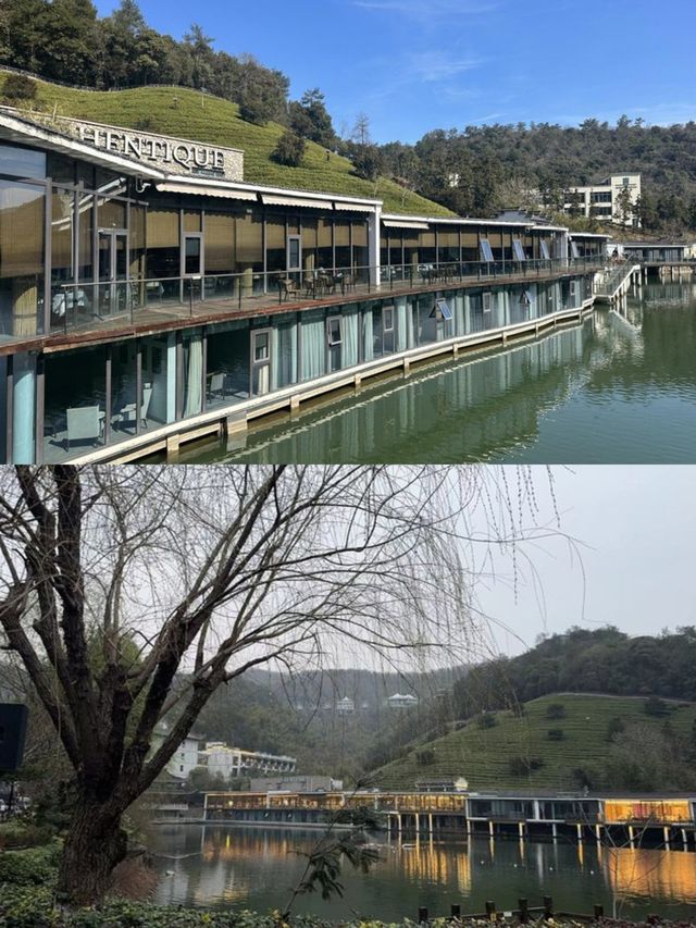 在安吉!睡進270°躺看茶山的野奢帳篷酒店。