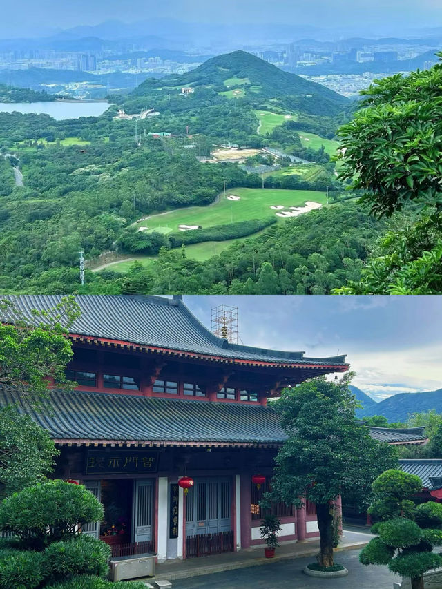 茶溪谷 | 童話森林小火車,我可以坐一整個下午!