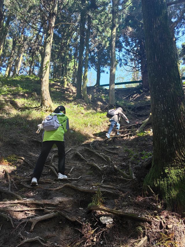 八年後國慶，衡山頂峰再相見！。