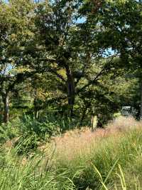 帶孩子在植物園裏撿「垃圾」。