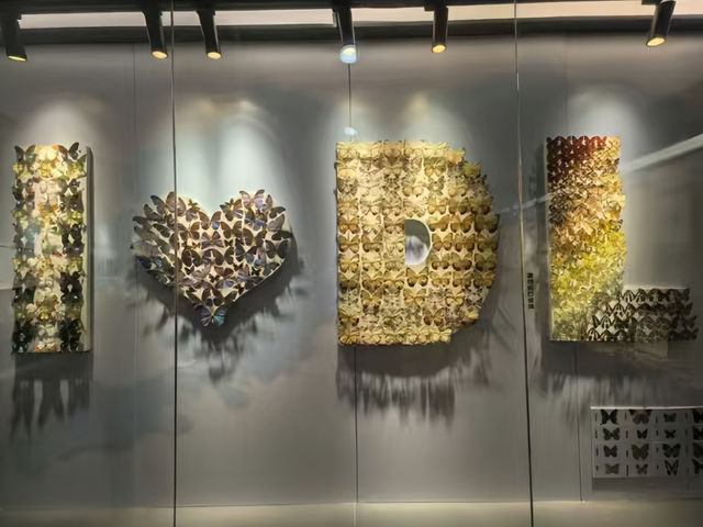 大連自然博物館，一個令人震撼的自然科學殿堂。