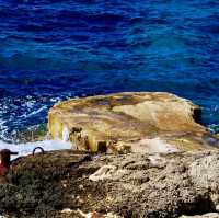 We go travel But for a life 