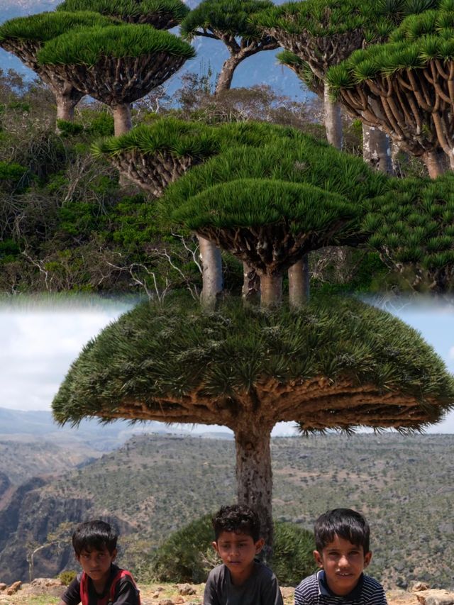 揭秘地球上最像外星球的地方｜太奇幻了。