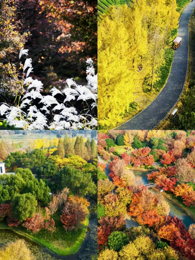 Đảo Maple Leaf ở Thượng Hải đẹp như thế nào?