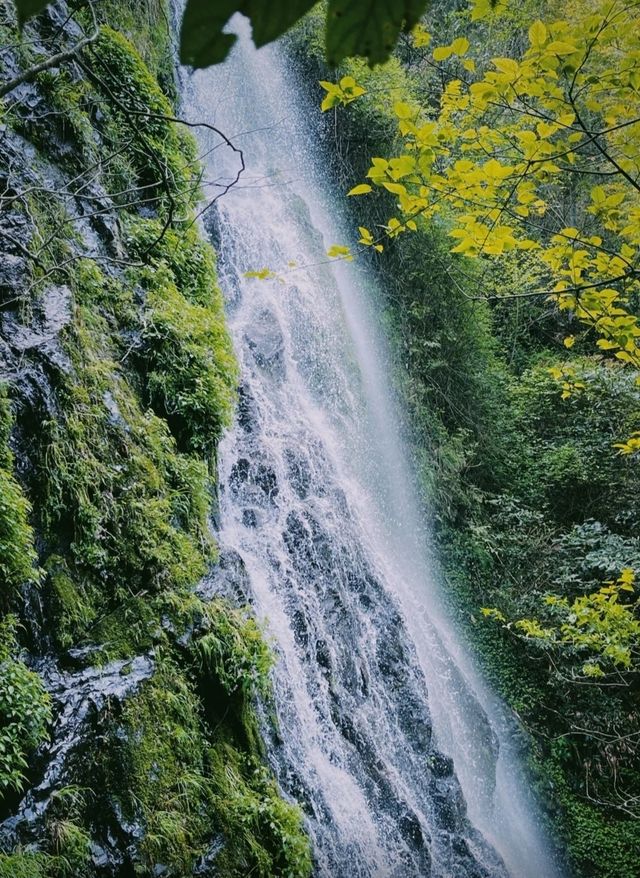 這麼漂亮的山有沒有人想去呢。。