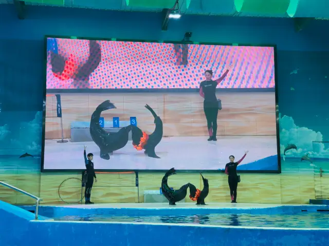 南京海底世界我真的想去無數次！。