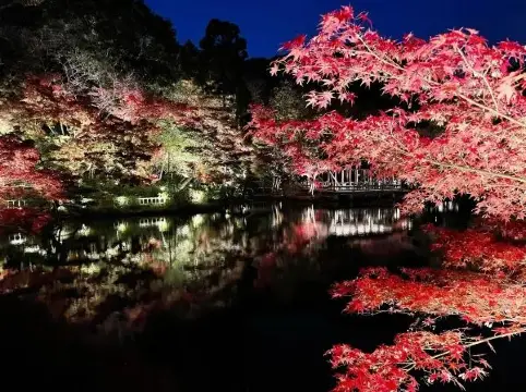 名古屋東山植物園的美景