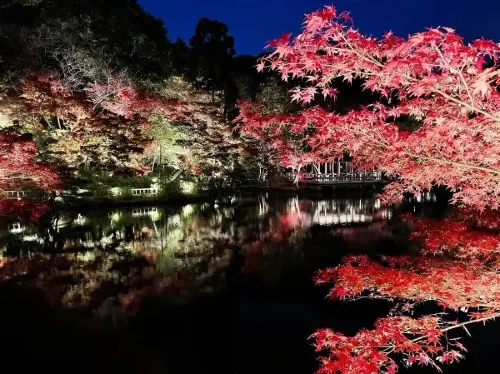 名古屋東山植物園の景観美。