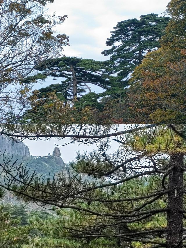 黃山旅遊攻略。