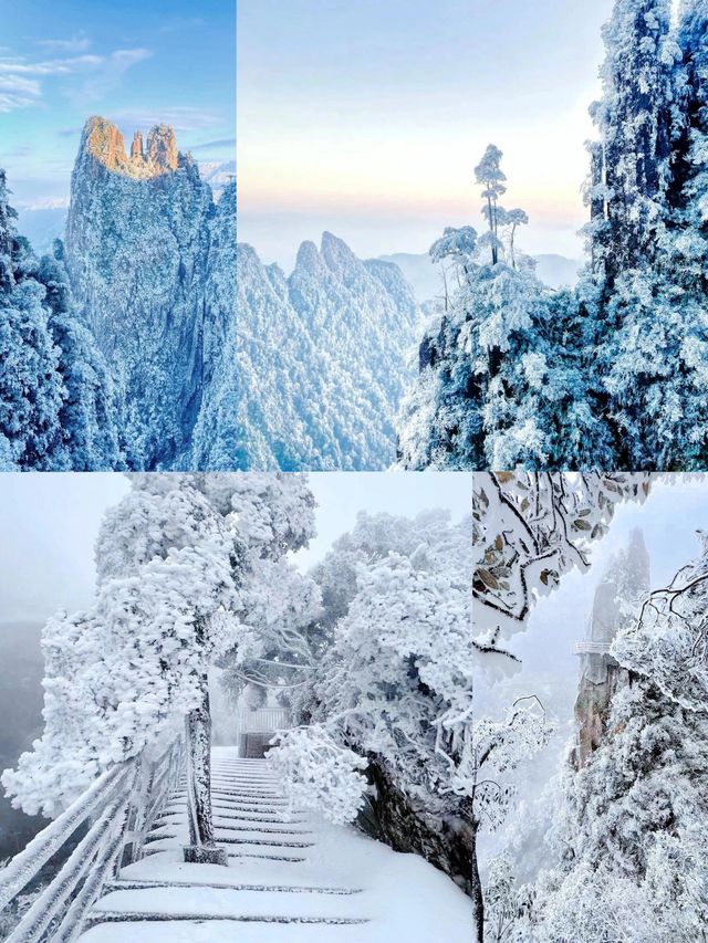 被朋友罵瘋了為了霧凇雪景去了趟郴州。