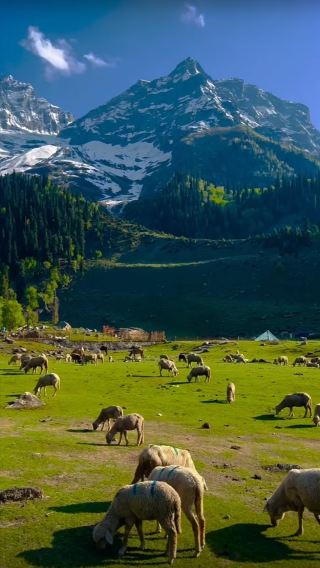 Kashmir scenery.