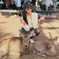 🦌 Oh deer! Looks like Nara just stole my heart😍♥️
