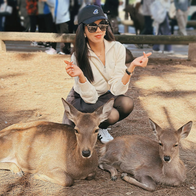 🦌 Oh deer! Looks like Nara just stole my heart😍♥️