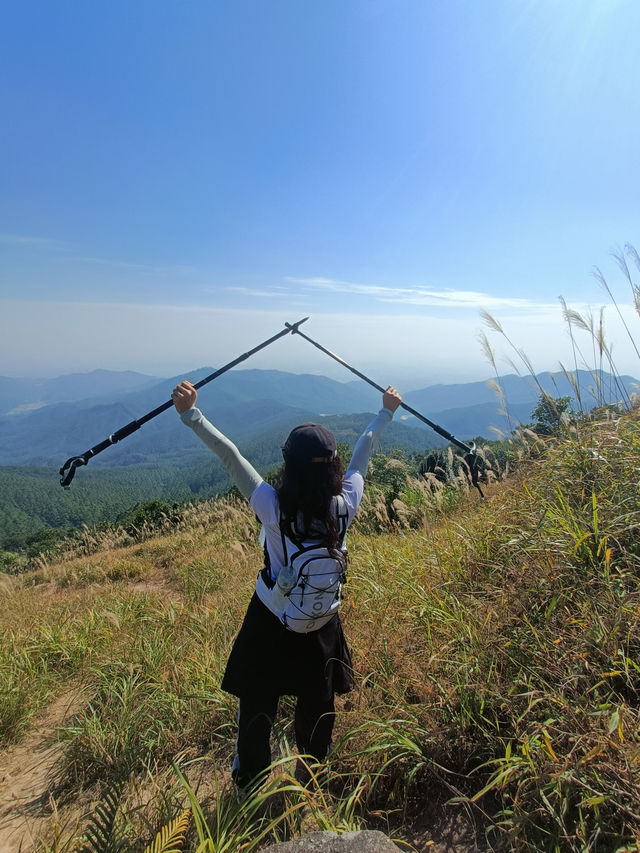 每周一山 | 廣西秘境🫴平天山看高山草甸～