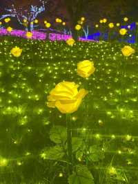 Visited the Sagamiko Light Show!!